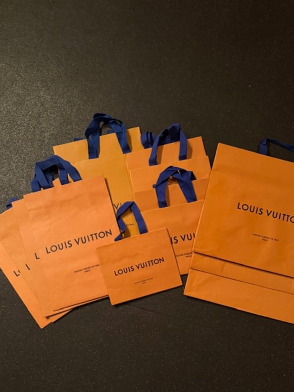 LOUIS VUITTON BAGS (MULTIPLE SIZES)